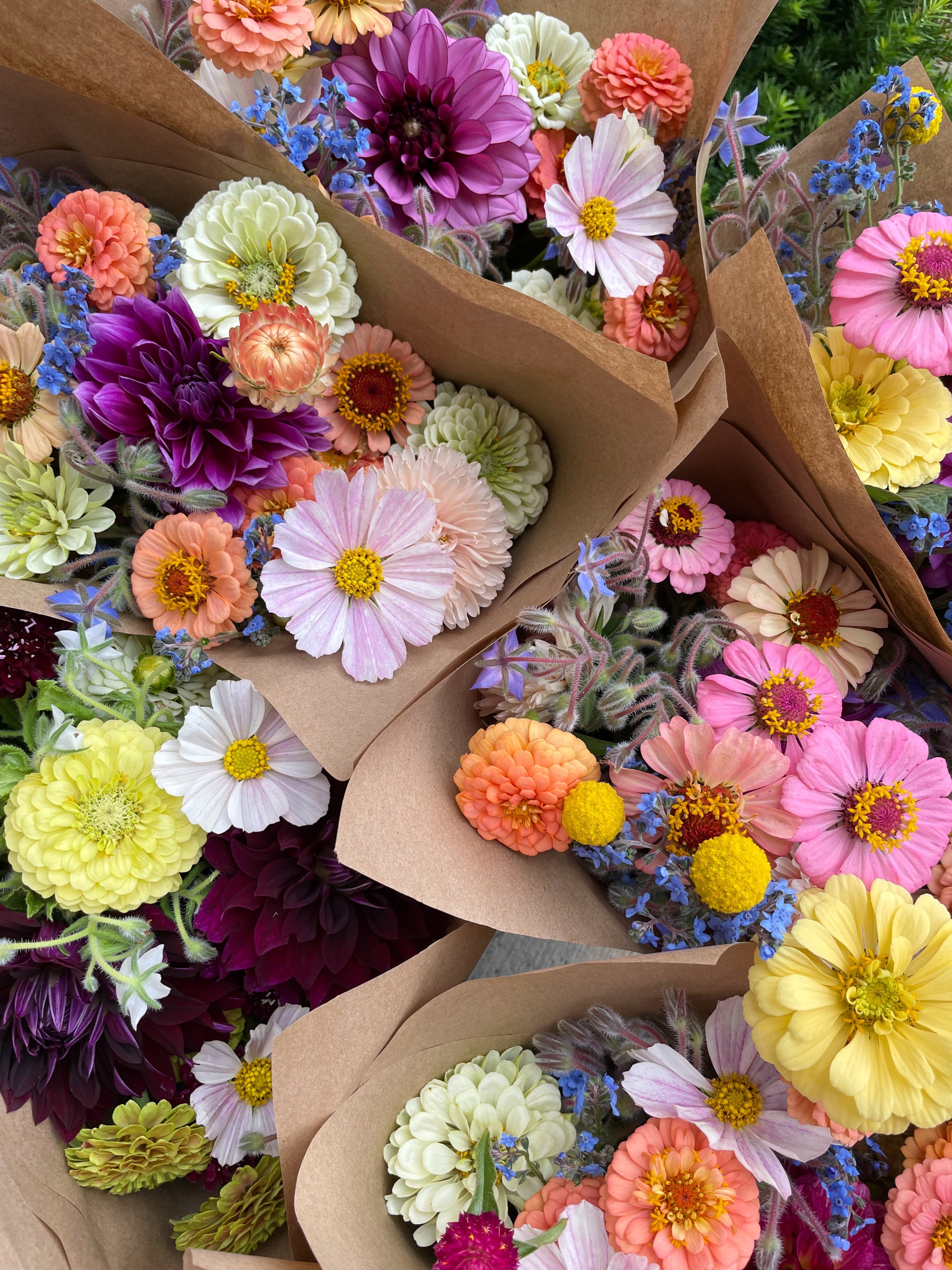 Flower Subscriptions