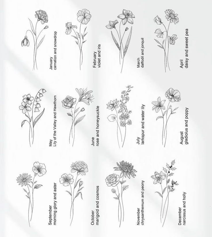 Birth Flowers
