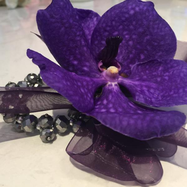 Orchid Corsage