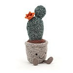 Silly Succulent Prickly Pear